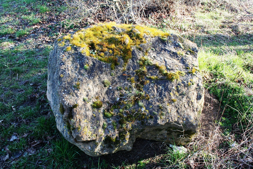 Ein Stein in der Nähe des Wartbergturms