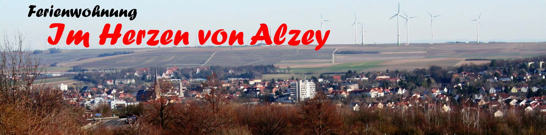 Alzeyer Panorama